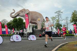 BIB: 
                            <button type="button" onclick="openModal(26528740)" class="btn btn-primary btn-sm float-right btn-popup" data-toggle="modal" data-target=".modal-high-quality">
                        <i class="fas fa-shopping-cart"></i> Add to Cart
                    </button>
                                            <button type="button" onclick="isThisMe(26528740, true)" class="btn btn-success btn-sm float-right btn-popup btn-isme hidden" data-toggle="tooltip" data-placement="bottom" title="นี่คือรูปของคุณใช่ไหม คลิกที่นี่เพื่อเอาเข้าอัลบั้ม">
                        <i class="fas fa-plus"></i> Add to album
                    </button>
                    <button type="button" onclick="isThisMe(26528740, false)" class="btn btn-warning btn-sm float-right btn-popup btn-isnotme hidden">
                        <i class="fas fa-ban"></i> Remove from album
                    </button>